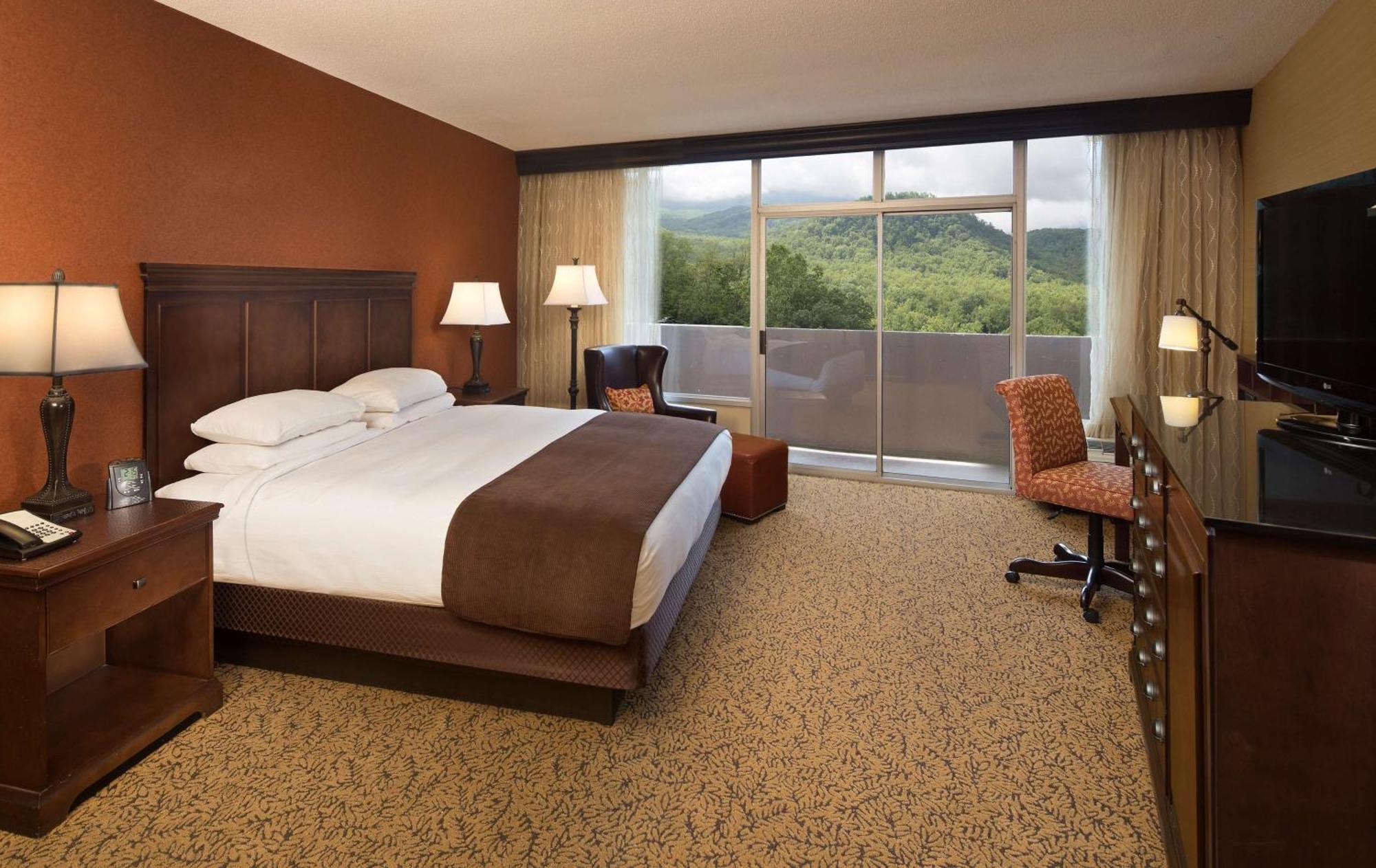 Family Suite,1557471946:JPEG